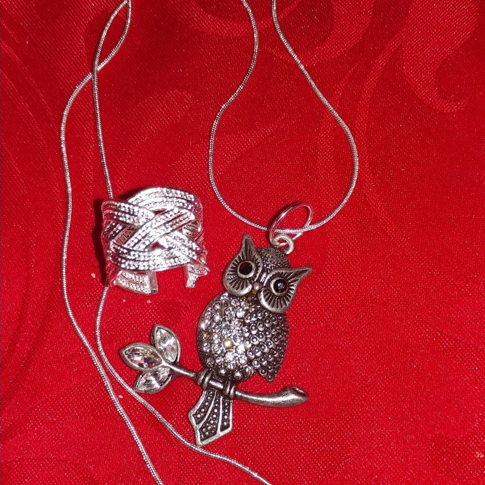 🆕 sparkling owl